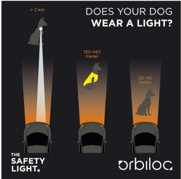 Orbiloc, luces led de seguridad para perros en Pet Shopping